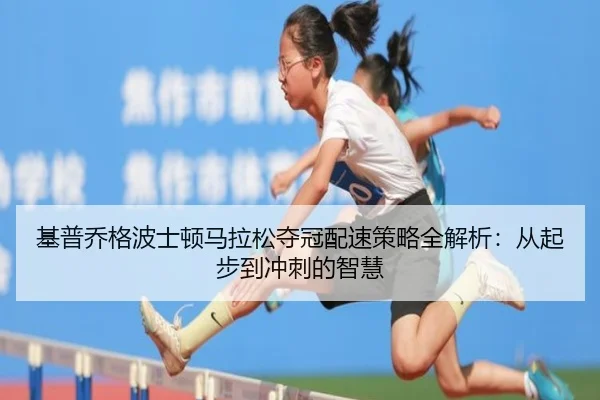 ji-pu-qiao-ge-bo-shi-dun-ma-la-song-duo-guan-pei-su-ce-lve-quan-jie-xi-cong-qi-bu-dao-chong-ci-de-zhi-hui-2-457.jpg